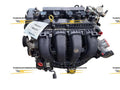 2014 Ford Focus Engine Assembly 2.0L (Non-Turbo) | VIN 2, 8 Digit | 9205B
