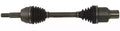 "LF & RF Strut Assembly for F Expedition, F-Series, F-250 HD & Lincoln Navigator
