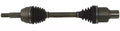"LF & RF Strut Assembly for F Expedition, F-Series, F-250 HD & Lincoln Navigator (1997-2004)"